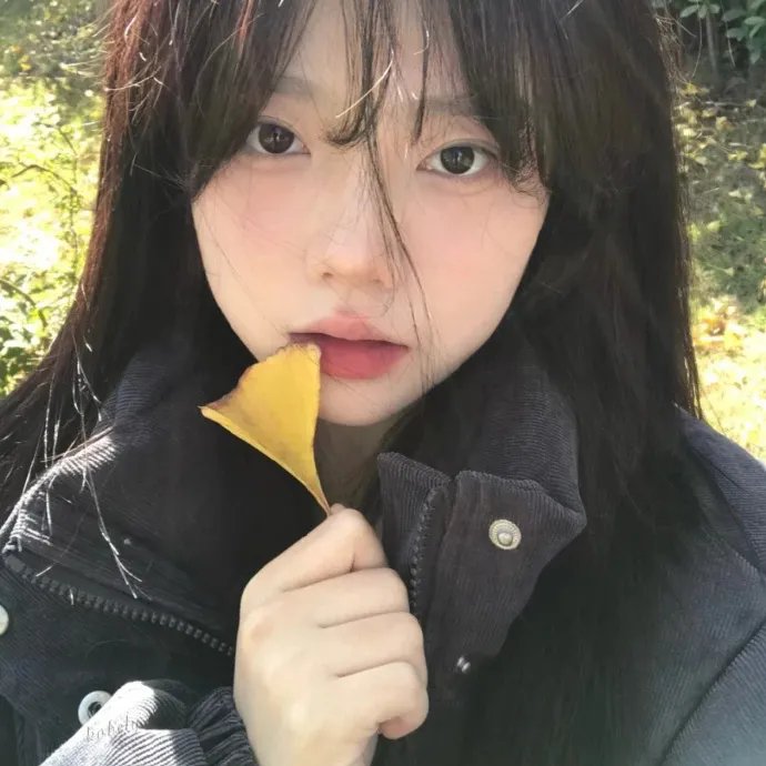 富贵吉娃娃